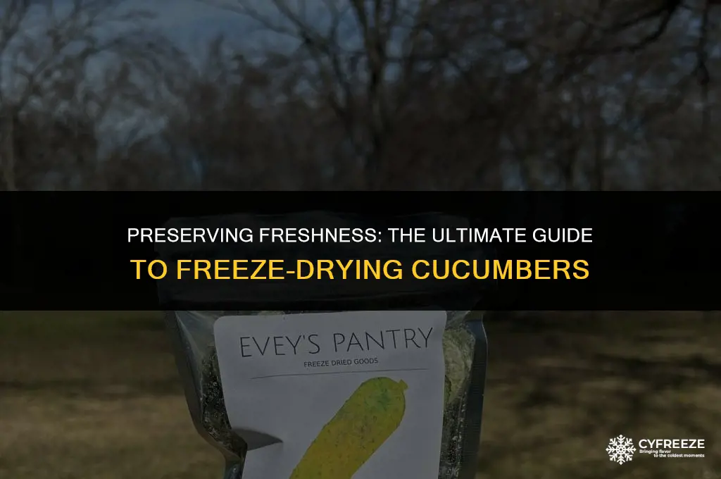 can you freeze dry cucumbers