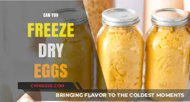 The Ultimate Guide to Freeze-Drying Eggs for Long-Term Storage