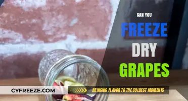 From Vine to Freeze Dryer: The Surprising Journey of Grapes