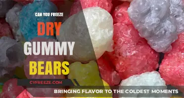 Preserving Sweetness: The Ultimate Guide to Freeze-Drying Gummy Bears