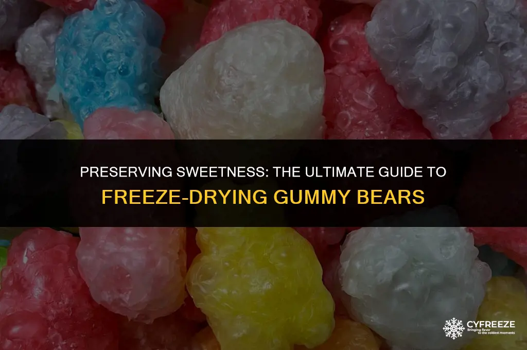 can you freeze dry gummy bears