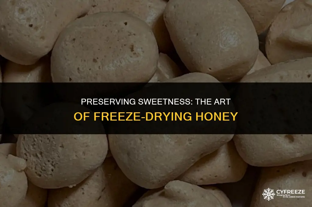 can you freeze dry honey