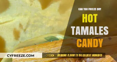 Exploring the Possibilities: Freeze-Drying Hot Tamales Candy