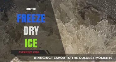 Exploring the Science Behind Freezing Dry Ice: A Comprehensive Guide