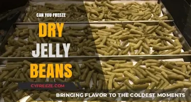 The Sweet Science: Can You Freeze Dry Jelly Beans?