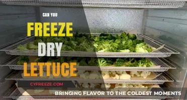 Preserving Freshness: The Ultimate Guide to Freeze-Drying Lettuce