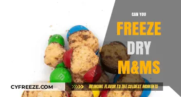 The Sweet Science: Exploring the Freeze-Drying Potential of M&Ms
