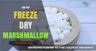 The Sweet Science: Freeze-Drying Marshmallows for Long-Term Storage