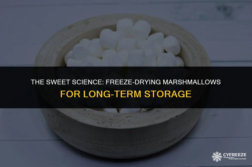 can you freeze dry marshmallows
