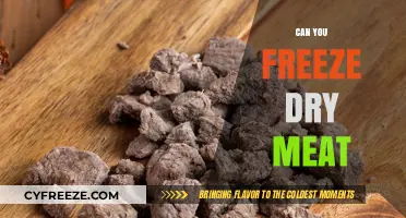 Preserving Perfection: The Ultimate Guide to Freeze-Drying Meat