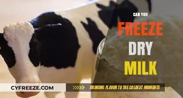 Exploring the Possibilities: Can You Freeze Dry Milk?