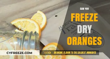 Preserving Sunshine: The Ultimate Guide to Freeze-Drying Oranges