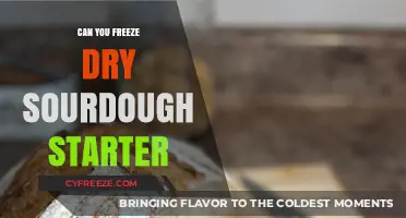 Preserving Your Sourdough Starter: The Freeze-Drying Solution
