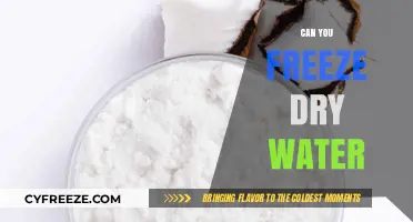 Exploring the Science Behind Freeze-Drying Water: A Comprehensive Guide