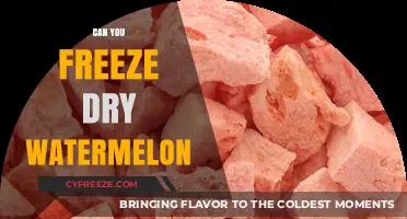 Preserving Summer's Sweetness: The Ultimate Guide to Freeze-Drying Watermelon
