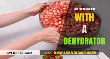 Exploring the Limits: Can You Freeze Dry with a Dehydrator?