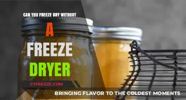 Exploring Homemade Freeze-Drying: Is It Possible Without a Freeze Dryer?