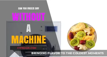 Exploring Homemade Freeze-Drying: Is It Possible Without Professional Equipment?
