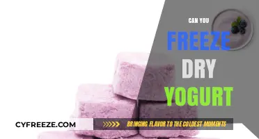 The Ultimate Guide to Freeze-Drying Yogurt: Tips and Tricks