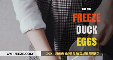 Freezing Duck Eggs: A Complete Guide to Preservation and Storage