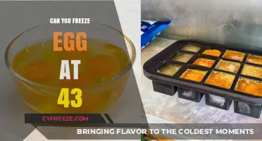 Freezing Eggs at 43: Success Rates, Risks, and What to Expect