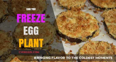 Freezing Eggplant: Tips for Preserving Freshness and Flavor at Home