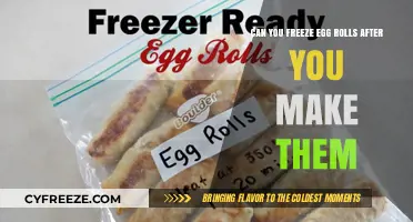 Egg Roll Preservation: Freezing Tips for Homemade Delights