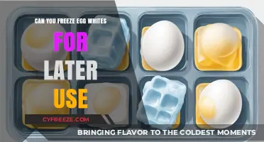 Freezing Egg Whites: A Handy Guide for Later Culinary Use