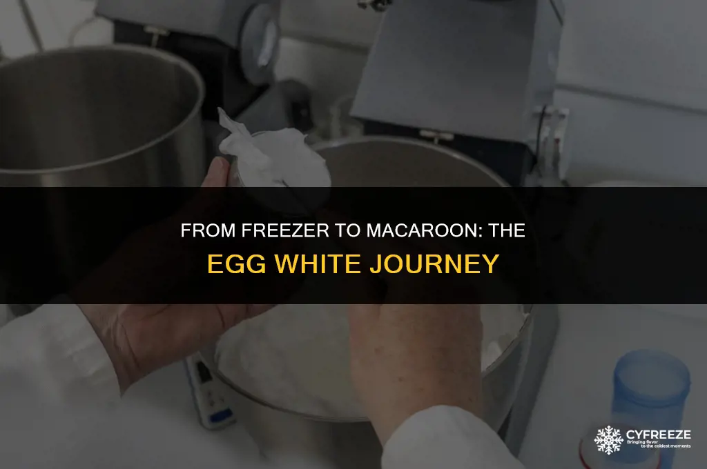 can you freeze egg whites to make macaroons