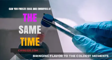 Freezing Eggs and Embryos Simultaneously: A Comprehensive Fertility Preservation Guide