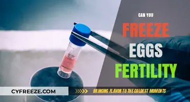 Freezing Eggs for Fertility: A Guide to Preserving Your Future