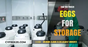 Freezing Eggs: A Smart Storage Solution for Future Use?