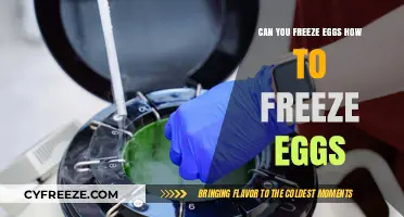 How to Freeze Eggs: A Complete Guide to Preserving Freshness