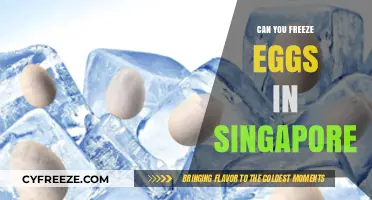 Freezing Eggs in Singapore: A Comprehensive Guide for Fertility Preservation