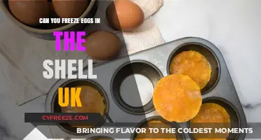 Freezing Eggs in Shells: A UK Guide to Safe Preservation