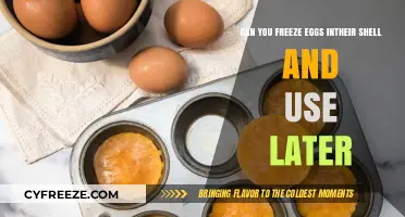 Freezing Eggs in Their Shell: A Convenient Storage Solution?