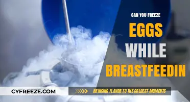 Freezing Eggs While Breastfeeding: What Nursing Moms Need to Know