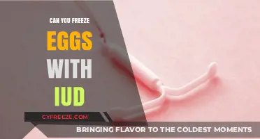 Freezing Eggs with an IUD: What You Need to Know