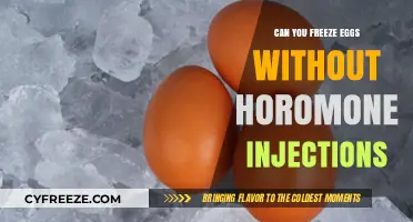 Freezing Eggs Naturally: Is Hormone-Free Egg Preservation Possible?