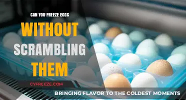 Freezing Eggs Without Scrambling: A Simple Guide to Preserving Freshness