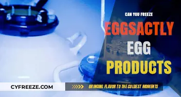 Freezing Eggsactly Egg Products: A Complete Guide to Preservation and Safety