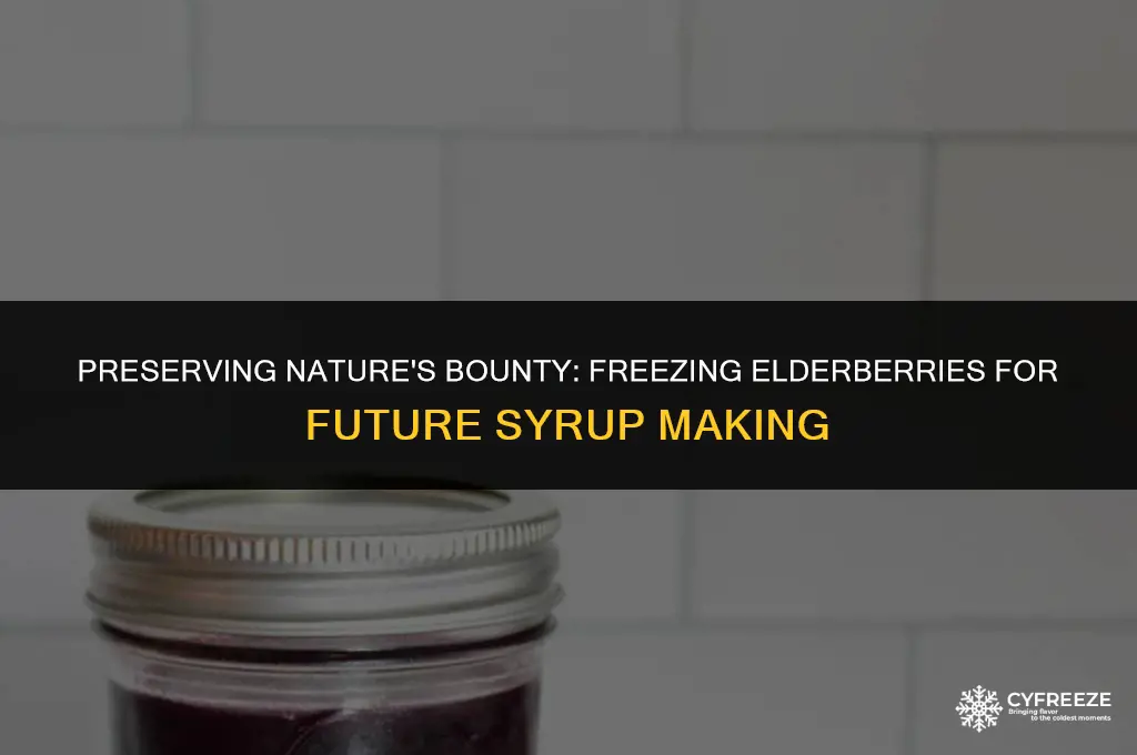 can you freeze elderberries to make syrup later