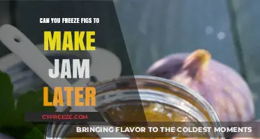 Preserving Sweetness: Freezing Figs for Future Jam-Making