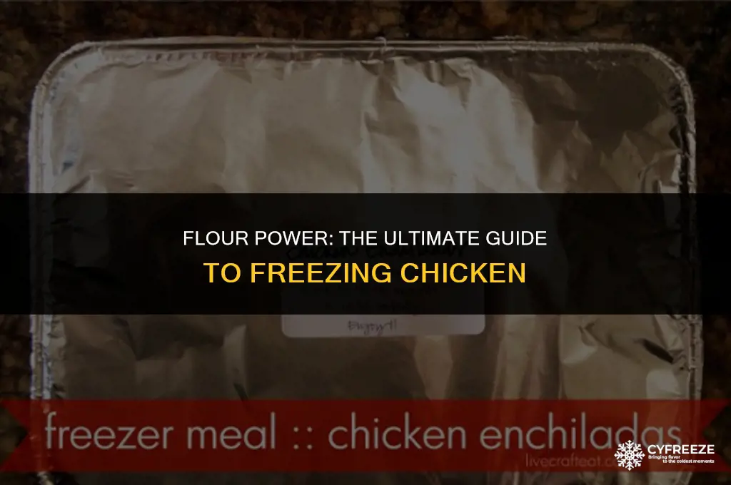 can you freeze flour chicken