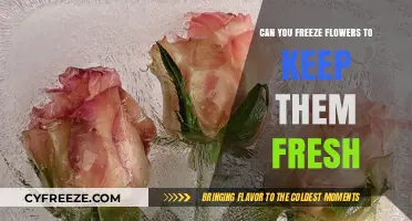 Eternal Blooms: The Art of Freezing Flowers for Lasting Beauty