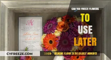 Preserving Petals: The Art of Freezing Flowers for Future Use