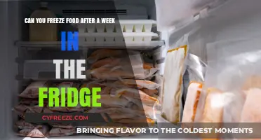 Reviving Leftovers: The Ultimate Guide to Freezing Food After a Week in the Fridge