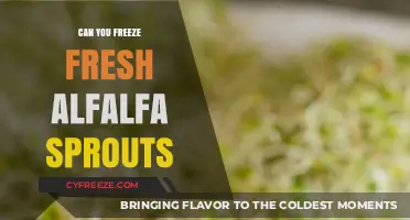 Preserving Freshness: Can You Freeze Alfalfa Sprouts?