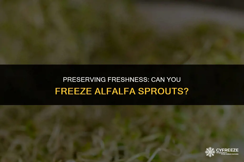 can you freeze fresh alfalfa sprouts