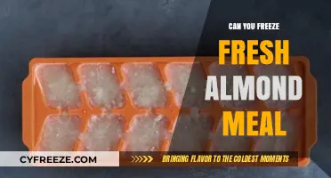 Preserve the Freshness: A Guide to Freezing Almond Meal